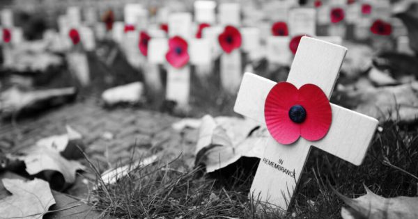 Poppy Cross