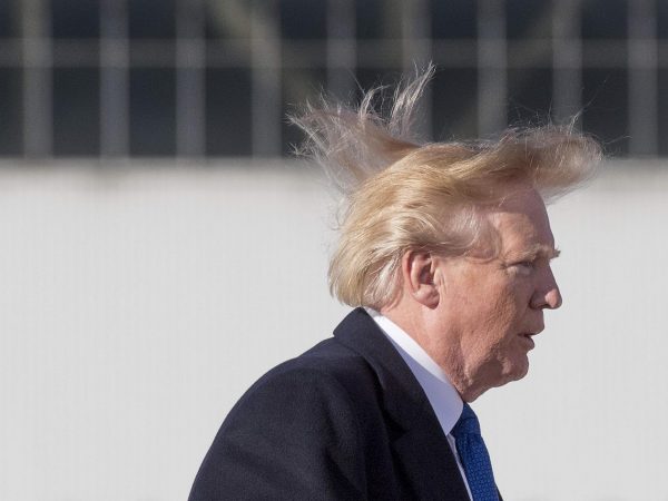 trump-hair